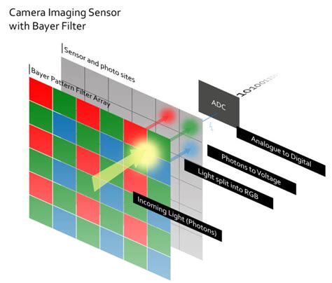 Camera sensor capturing light