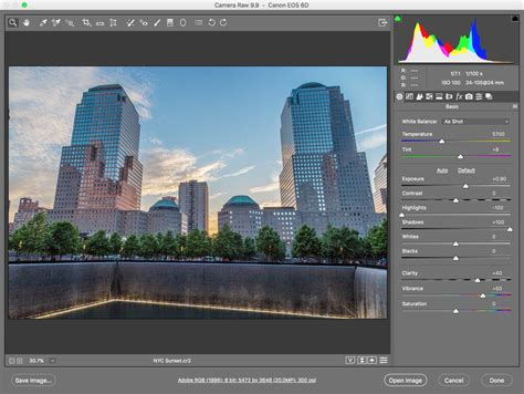 Camera Raw Basic panel sliders