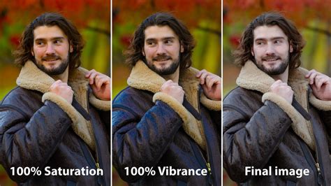 Camera Raw Vibrance and Saturation sliders