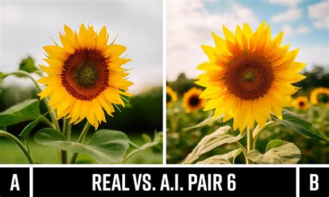A side-by-side comparison of a real photo and an AI-generated photo with a changed hair color