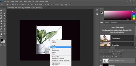 Photoshop interface showing Transform tool options