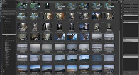 A comparative diagram showing the feature sets of RawTherapee and Darktable, highlighting areas of overlap and difference.