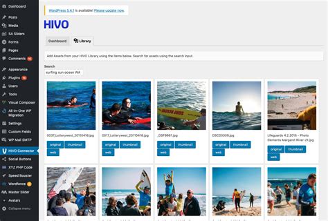 HIVO InDesign plugin interface showing asset search and import options