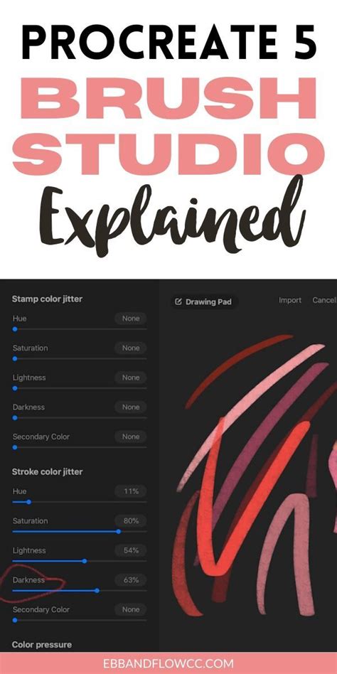 Infographic detailing the various settings within Procreate's Brush Studio