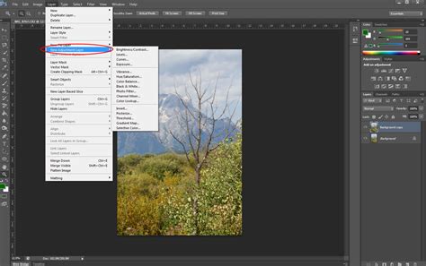 Photoshop interface showing layers and adjustment layers