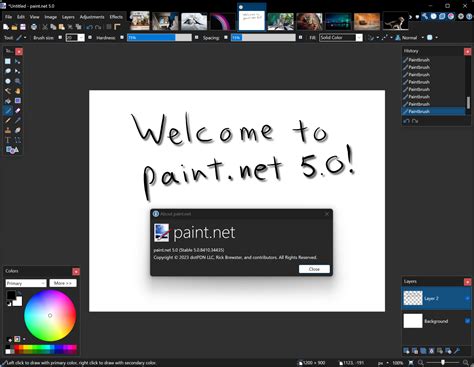 Paint.NET software interface with plugin menu highlighted