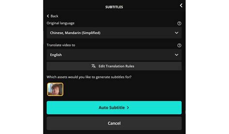 Kapwing export settings interface