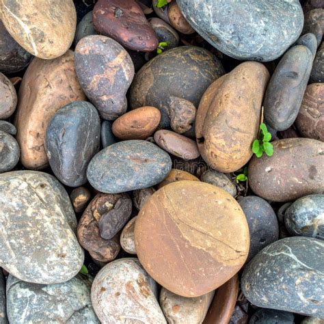 A diverse collection of digital images and textures.