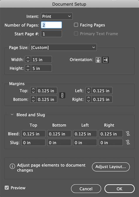 InDesign document setup with margins