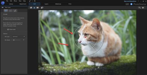 Diagram illustrating the Radial Blur tool with sharp and blurred areas.