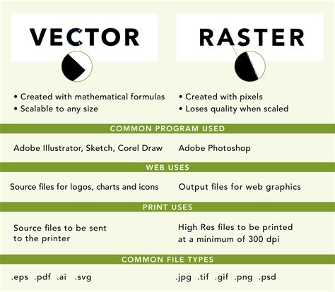 Split image showing a raster drawing and a vector drawing in Photoshop