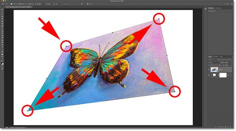 Free Transform tool in Photoshop showing perspective adjustment handles
