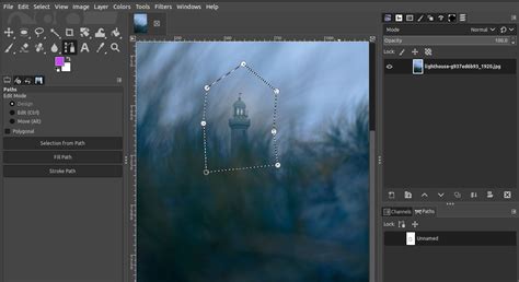 GIMP Paths Dialog showing a created path