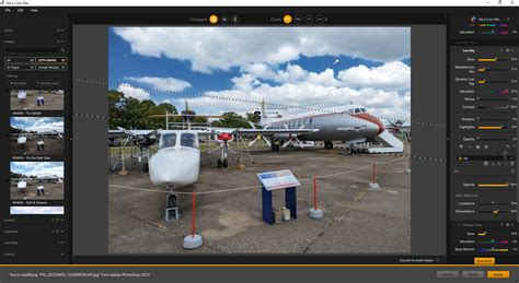 Screenshot of the U Point technology interface in an older Nik Collection version