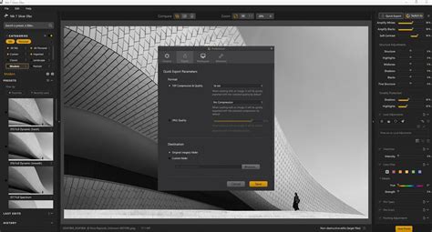 Infographic showing the purpose of each Nik Collection plugin