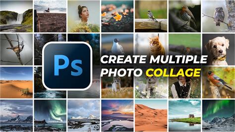 Example of a multi-photo collage created in Photoshop Express
