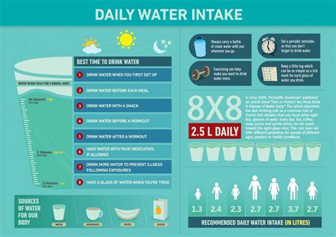 Infographic on daily water intake