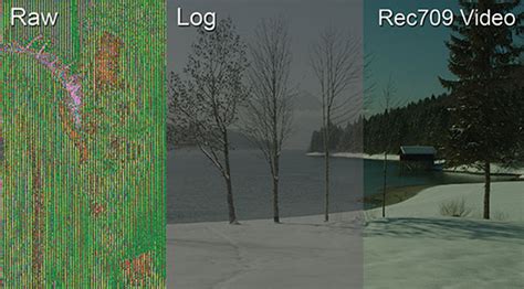 Comparison of Log footage vs. Rec.709 LUT applied footage