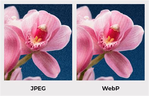 Diagram illustrating the differences in file size and quality between WebP and JPG