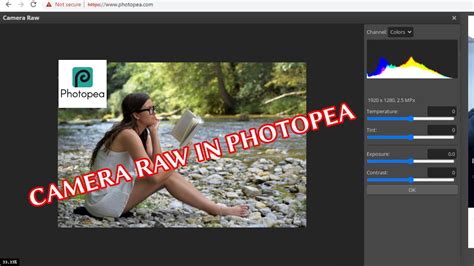 Photopea raw conversion sliders
