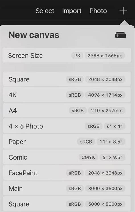 Procreate canvas setup screen with size options