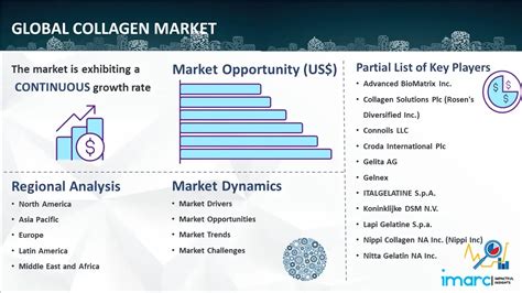 Infographic showing the projected growth of the global collagen market