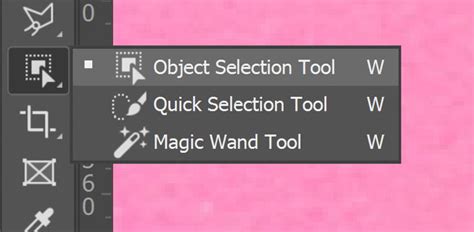 Demonstration of Object Selection tool selecting a bird