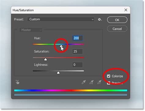 Hue/Saturation adjustment layer with Colorize option checked