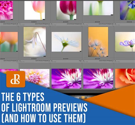 Diagram illustrating different types of Lightroom previews and their processing demands