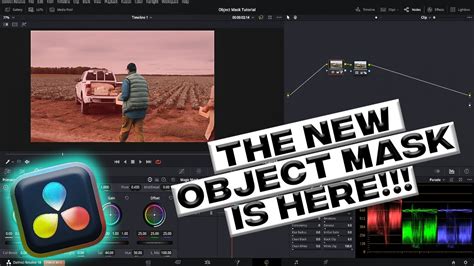 DaVinci Resolve Magic Mask interface with object selection