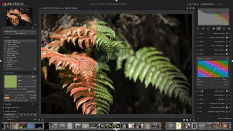 Darktable Darkroom view with editing modules