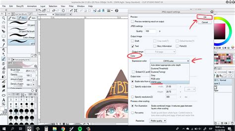 Screenshot of Clip Studio Paint's Preview Settings dialog with CMYK profile selected