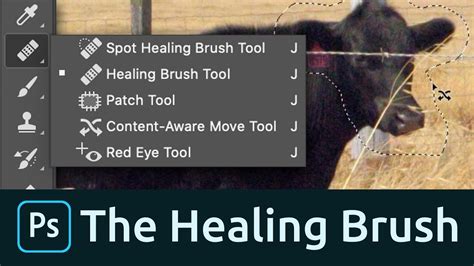 Photoshop Toolbar with Spot Healing Brush highlighted