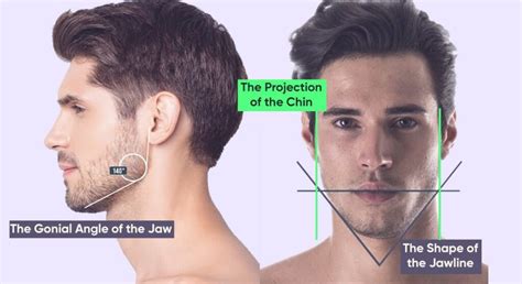 Screenshot showing a person's jawline being traced with the Pen Tool in Photoshop