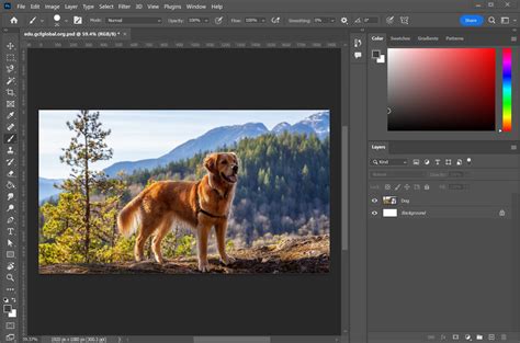 Photoshop Elements software interface