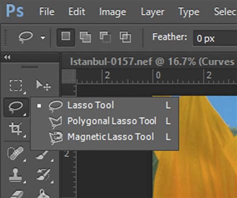 Photoshop Lasso Tools Interface