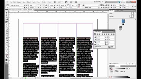 InDesign text composition interface