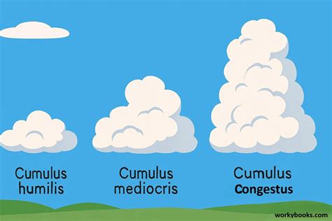 Collage of different cloud types: cumulus, cirrus, storm clouds