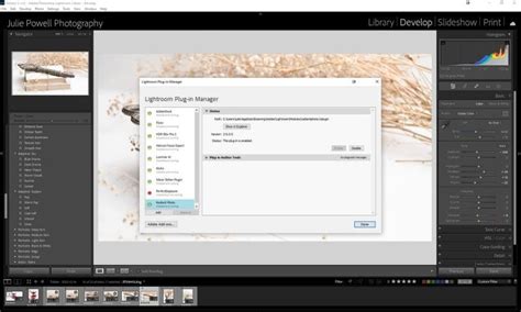 A screenshot of the Lightroom plugin manager interface