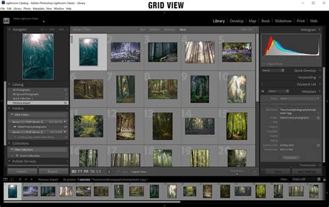 Lightroom grid view showing selected photos with gray borders