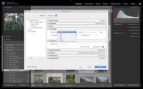 Lightroom export dialog box with options for selected photos