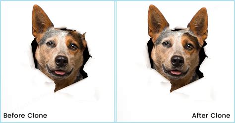 Before and after image showing the removal of wall outlets using the Clone Stamp tool