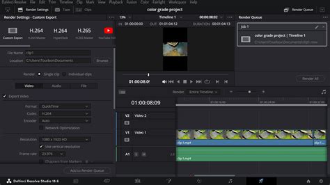 DaVinci Resolve Deliver page interface