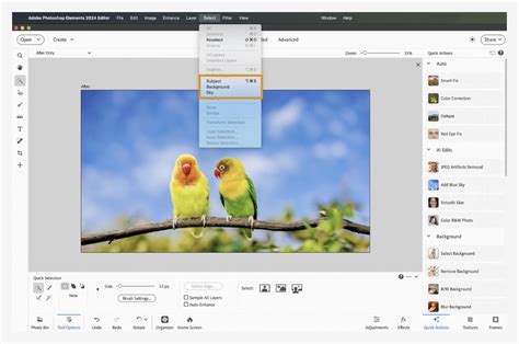 Screenshot of Photoshop Elements 11 Organizer with photo library