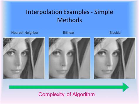 Infographic showing different interpolation methods and their visual results