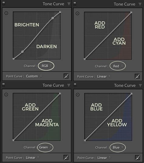 Lightroom Region Tone Curve Example