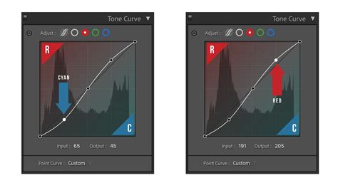 Lightroom Point Curve RGB Channel