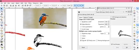 Screenshot of the Inkscape Trace Bitmap dialog box with Multiple Scans (Colors) options highlighted