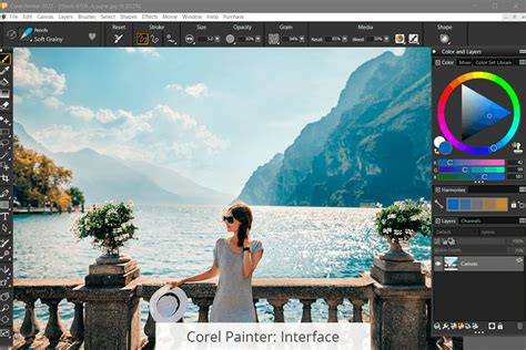 Corel Painter Essentials user interface