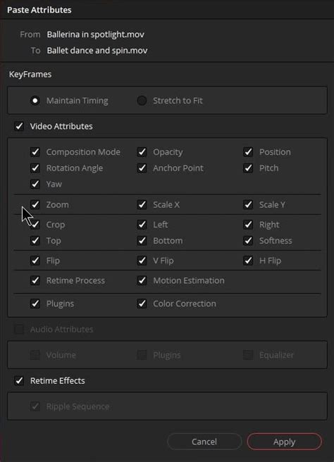 DaVinci Resolve Paste Attributes dialog box